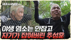 형 뭐해요...? 염소 잡으랬더니 자기가 잡혀버린 추성훈?