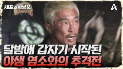 다시 발견한 야생 염소! 염소와 1대1로 싸우게 된 추성훈?