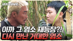 아까 그 염소가 근처에 있다...? 모두를 놀라게 한 거대 염소 등장!
