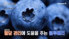 치솟는 혈당 관리에 탁월한 블루베리?! 노화의 속도를 낮춰주는 해결책이 되었다!