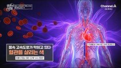[예고] 모녀의 삶을 망가뜨릴 뻔한 당뇨병! 혈관을 되돌리는 비밀을 찾아라!