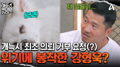 ＂저 어떡하죠＂ 역대급 난이도(?) 늑대 2호의 훈련이 두려운 개통령 강형욱?