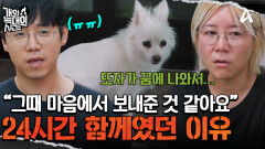 분리불안을 겪고 있는 보호자?! 반려견과 24시간 함께였던 이유는 무엇?