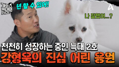 더디지만 용기 있게! 한 발짝씩 성장하고 있는 늑대 2호가 대견한 강형욱