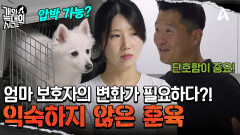 강형욱의 훈련 철학을 기초로 한 엄마 보호자 주도의 훈육 도전! 그 결과는?