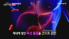 알부민이 부족하면 어떤 증상이 나타나나?