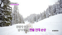 왜 겨울철 만 되면 관절통증이 심해질까?