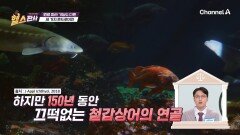 40대부터 콘드로이친이 감소한다?! 관절염 예방에 도움되는 이것의 정체는?