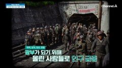 광부가 되기 위해 몰린 사람들로 인구 급증! 탄광의 전성기를 누렸던 강원도