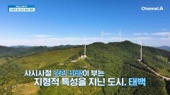 청정 메탄올의 도시로 재도약을 꿈꾸고 있는 태백! 청정 메탄올 산업 기지에 적합한 이유는?