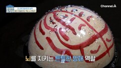 치매의 주범! 베타 아밀로이드를 막는 포스파티딜세린! 치매를 갓벽하게 막아준다?