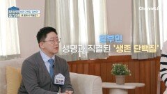 생명과 직결된 생존 단백질 '알부민' 내 몸에서 역할은?