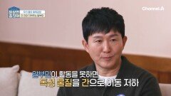 알부민이 혈관에 어떻게 도움이 되는 건가요?