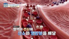 마음고생하면 폭삭 늙는다!? 스트레스가 돌연사까지 이어질 수 있는 이유는?