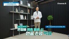  무릎의 부드러운 움직임에 도움을 주는 '콘드로이친'! 연골 세포의 사멸을 억제해 주기도 한다?!