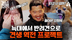 [#개와늑대의시간2 티저] ＂완전 늑대 아니에요!?＂ 강형욱이 밝히는 당신 개의 본성! 견생 역전 프로젝트