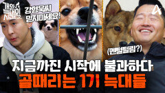 [티저] ＂어떤 문제들도 다 고쳐드립니다＂ 멘털 털린 강형욱(?) 골때리는 1기, 들개의 후예들 커밍쑨~!