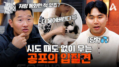 [예고] 방송계 소문난 입질견 등장! 늑대로 만든 걸 회피하는 보호자들?! 늑대가 된 이유는 과한 훈육 탓일까?