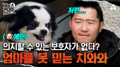 늑대 1호에게는 의지할 보호자가 없다? 엄마를 믿지 못하는 급발진견