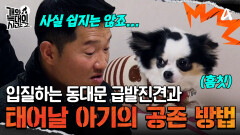 입질하는 강아지와 아기, 어떻게 공존해야 좋을까요?