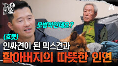 인싸犬이 된 떠돌이 강아지와 할아버지의 따뜻한 인연