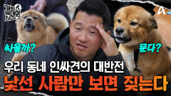 우리 동네 인싸犬의 대반전! 낯선 사람만 보면 흥분하며 짖는다?