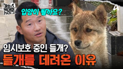 가족 전원을 구조해서 살게 된 자매... 들개를 데려온 이유는?