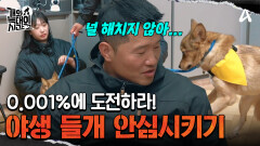 ＂나는 널 해치지 않을거야＂ 텐션 유지하며 들개 안심시키기... 바뀔 수 있을까?