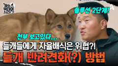 이제 솔루션 2단계 돌입! 0.0001%에 도전하는 강 훈련사