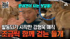 강형욱 매직 발동?! 목줄을 따라 걷기 시작하는 늑대 3호