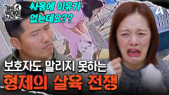 생후 5개월부터 싸웠다고?! 살육을 목적으로 한 형제의 싸움...?