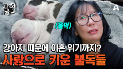 벼랑 끝 갈등의 가족들, 개 때문에 이혼 위기까지?!