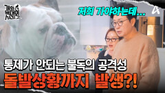 보호자도 통제할 수 없는 불독의 공격성, 서둘러 도망치는 김성주