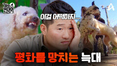 [5회 예고] 네버랜드의 후크선장을 찾아라