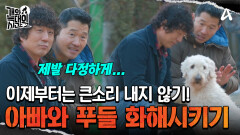 푸들&아빠 보호자, 관계 개선 솔루션 시작! 큰 소리 내지 않기?!