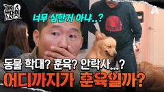 물면 바로 안락사? 개를 때리기까지? 훈육과 동물 학대 사이...