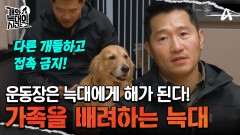 운동장은 늑대한테 해가 된다? 가족을 배려하는 공감 천재 리트리버