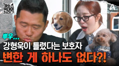 강형욱이 틀렸다? 솔루션 이후, 변한 게 하나도 없는 늑대 3호?