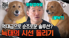 본격 솔루션 타임! 늑대 3호가 하나에 꽂히는 걸 막아라!