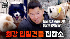 [7회 예고] 늑대들 사이에 생긴 서열