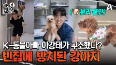 정형행동을 반복한다?! 역대급 분리 불안의 원인은?