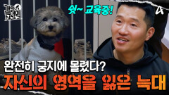 보호자 주도로 계속되는 압박 훈련! 늑대의 패턴을 끊어라!