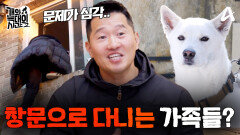 [9회 예고] 대대손손 혈통 있는 순종 진돗개! 하지만 늑대의 허락 없이 집에 들어갈 수 없다?!