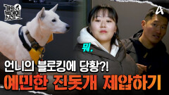 경계심과 공격성이 강한 늑대 3호... 과연 제압할 수 있을까?