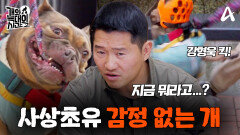 [10회 예고] 광란의 보호자 감금견 등장