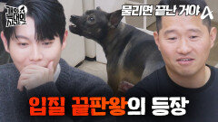 [예고] 치료비만 천만 원 들었다?! 미친 입질 때문에 피해자 속출! 포스 끝판왕 \