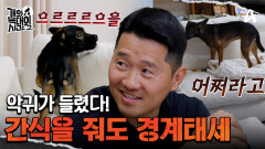 ＂우리가 뺏어 먹길 하니?＂ 악귀가 들렸다! 간식을 준 보호자에게도 \