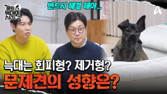 빌리지 독의 2가지 유형! 문제 회피형 or 문제 제거형 과연 내 개의 유형은?