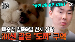 반려인의 결혼 전 필수 코스 \