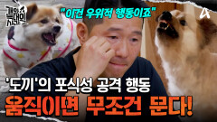 ＂너의 살을 한번 무는 게 내 목적이야＂ 움직이는 모든 물체에 100회 이상 입질 시도?! \